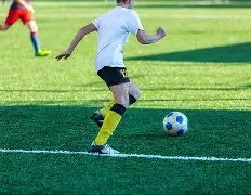 谷爱凌因伤,缺席,赛事,欧博,欧博体育,OUBO,Abg,欧博体育官网